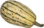 courge Bush Delicata